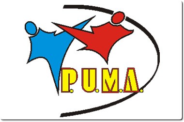 puma kickboxing